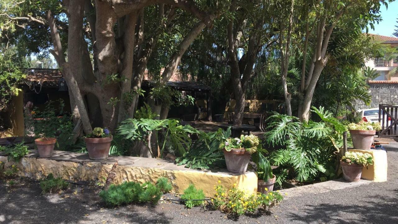 Bellasombra Suites Лас Палмас де Гран Канария Екстериор снимка
