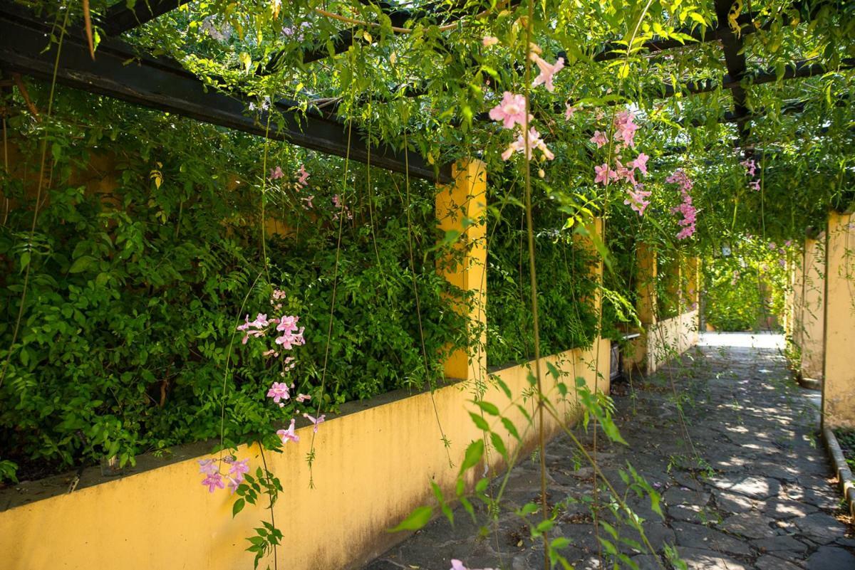 Bellasombra Suites Лас Палмас де Гран Канария Екстериор снимка