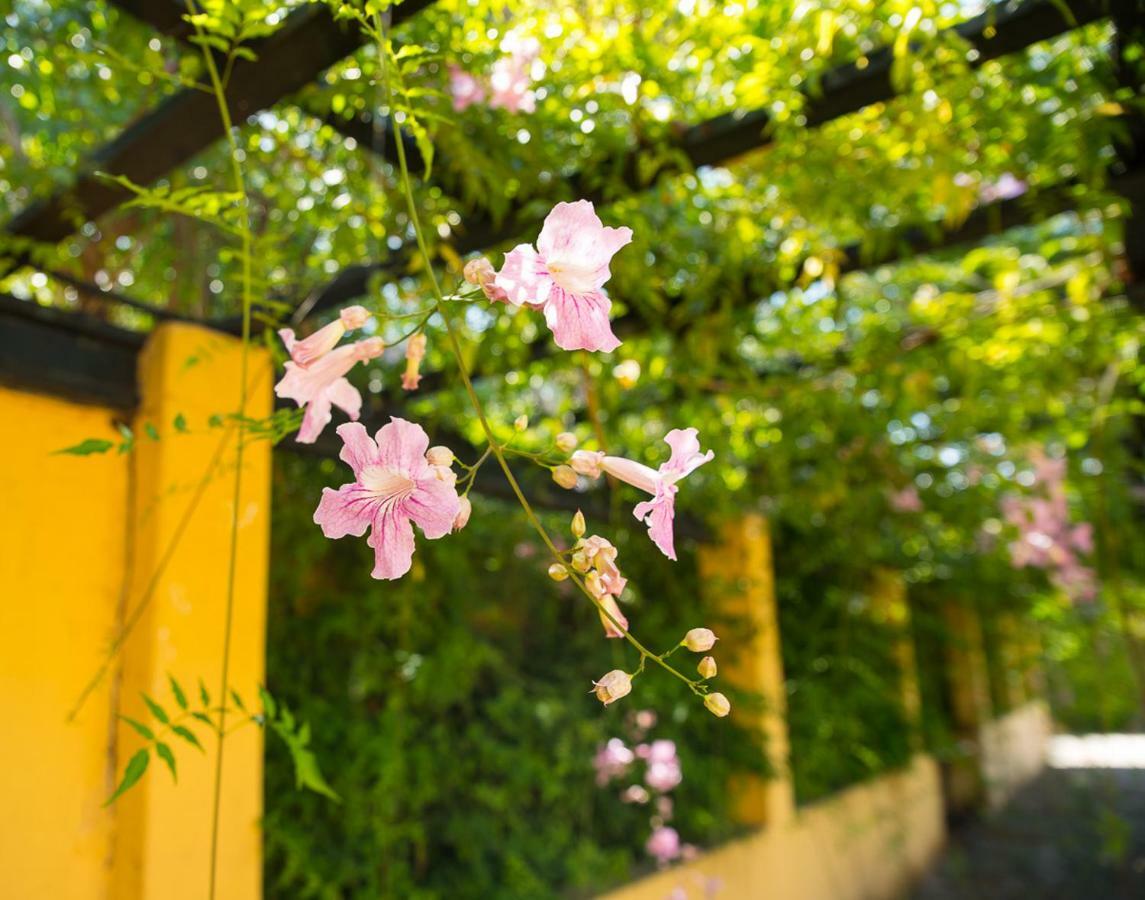 Bellasombra Suites Лас Палмас де Гран Канария Екстериор снимка